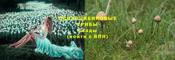 дмт Семёнов