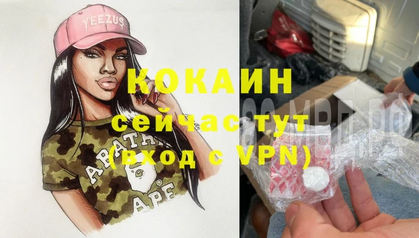 индика Алексеевка