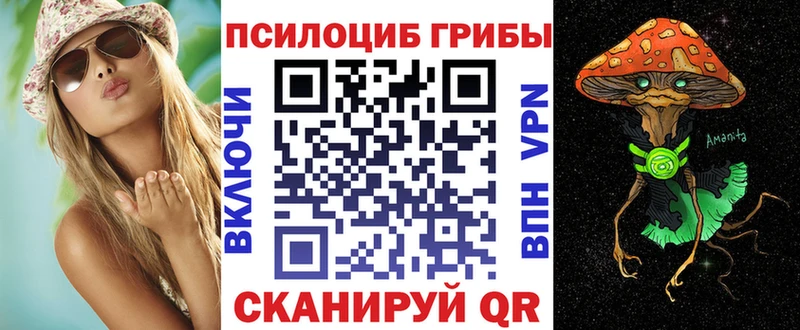 Галлюциногенные грибы Psilocybine cubensis  Бабаево 